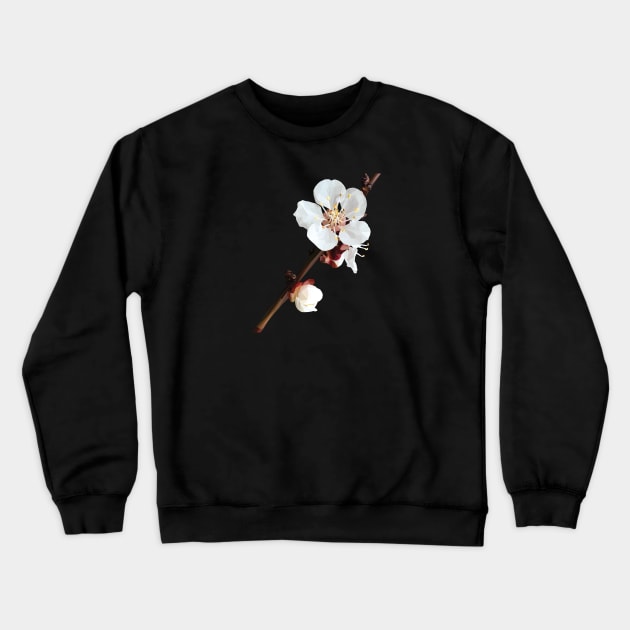 Low Poly Plum Blossom Crewneck Sweatshirt by ErinFCampbell